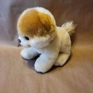 Gund Boo, "The World's Cutest Dog"